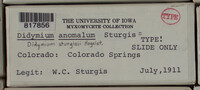 Image Associated With the Occurence